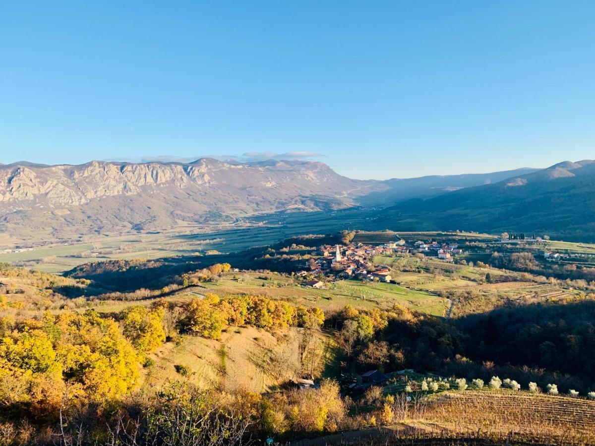 Samson And The Lilo Apartamento Vipava Exterior foto